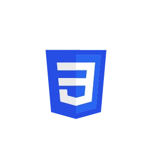 CSS logo